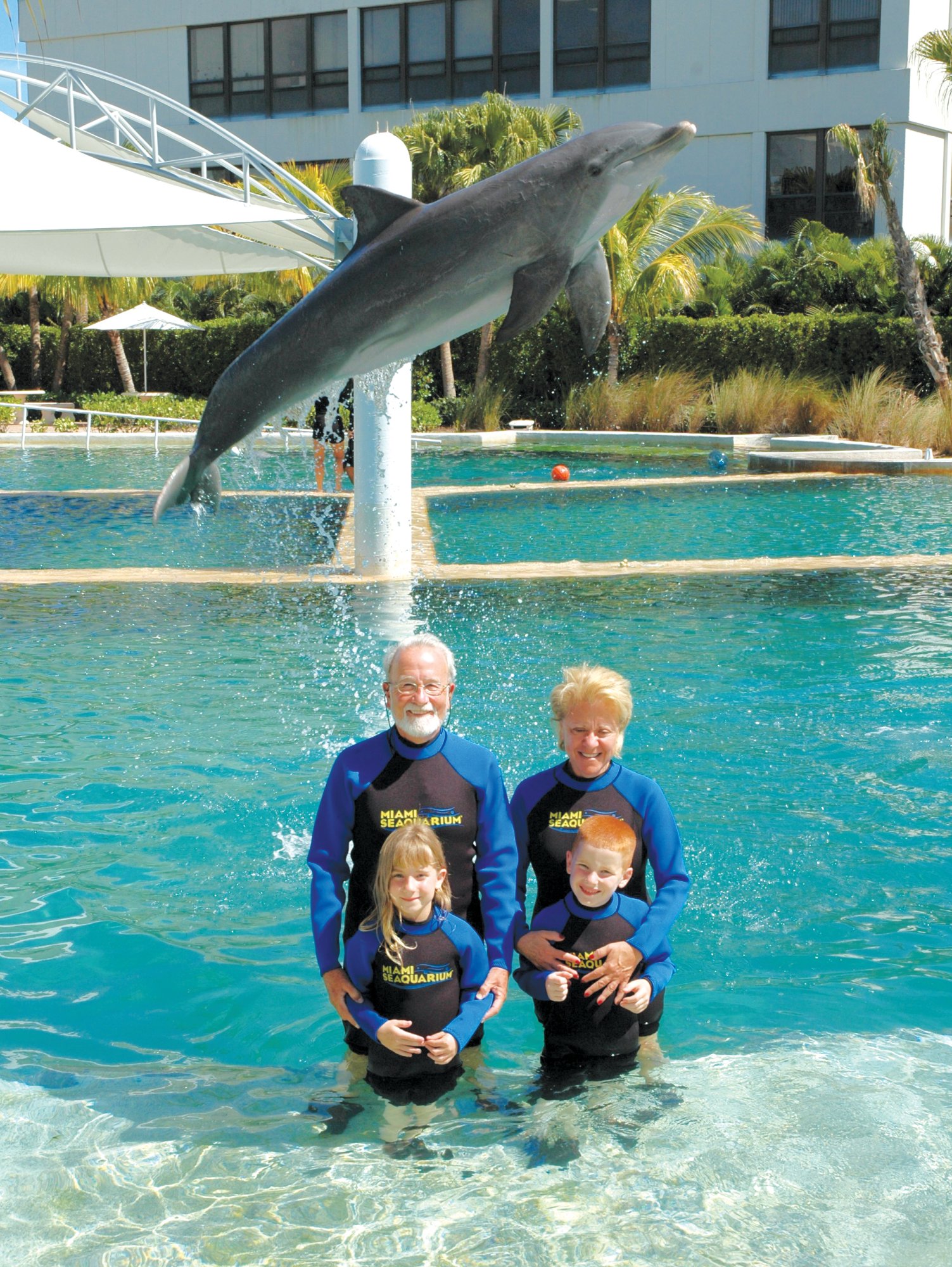 jump-dolph-family-big - Miami Swim with Dolphin Tours and Tickets