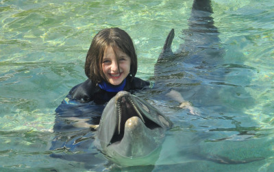 Dolphin program and back to School