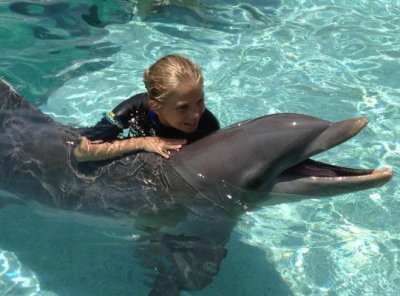 Belly Rub of a Dolphin in Miami