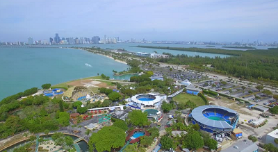 Miami Dolphin Programs Location