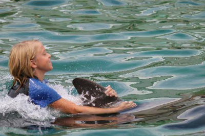 Swim with Dolphins Fort Lauderdale Booking Office