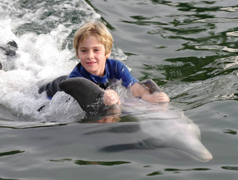 Swimming with Dolphins for Kids and More: A Family Adventure at the Miami Seaquarium