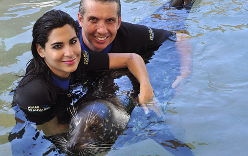 Miami Swim with Dolphins - Odyssey Program (800) 667-5524