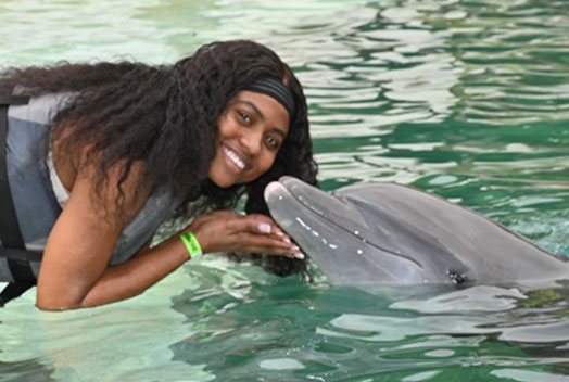 Miami Dolphin Encounter (non-swim) - (305) 556-5085