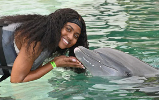 $85 for a Shallow-Water Dolphin Encounter at Dolphins Cove in Key Largo  ($145 Value)