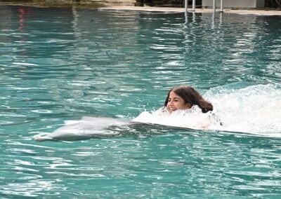 Miami Dolphin Swim