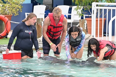 Miami Dolphin Encounter Group