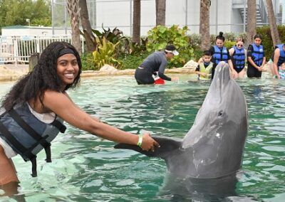 Miami Dolphin Program Peck Hold