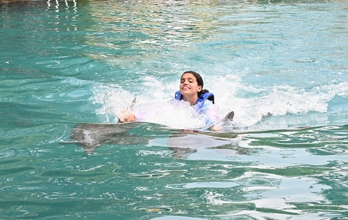 Dolphin Royal Swim New in Miami