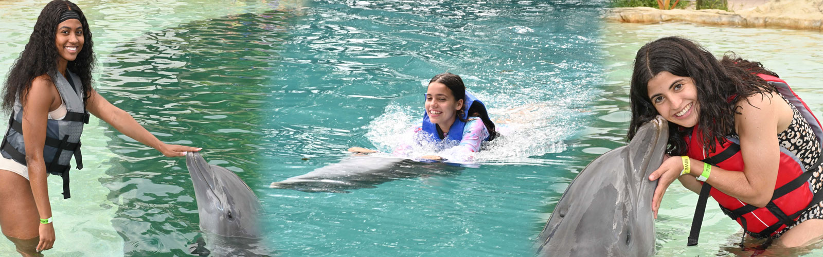 Dolphin Encounter - Miami Seaquarium