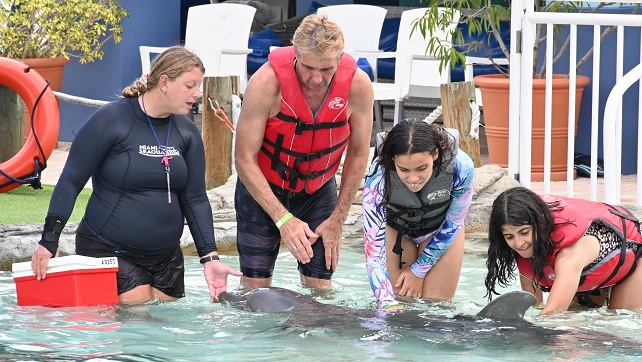 Miami Dolphin Encounter (non-swim) petting them