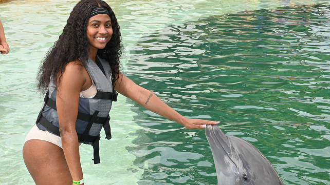 Shallow Water Wonder: The Dolphin Encounter (Non-Swim) at Miami Seaquarium