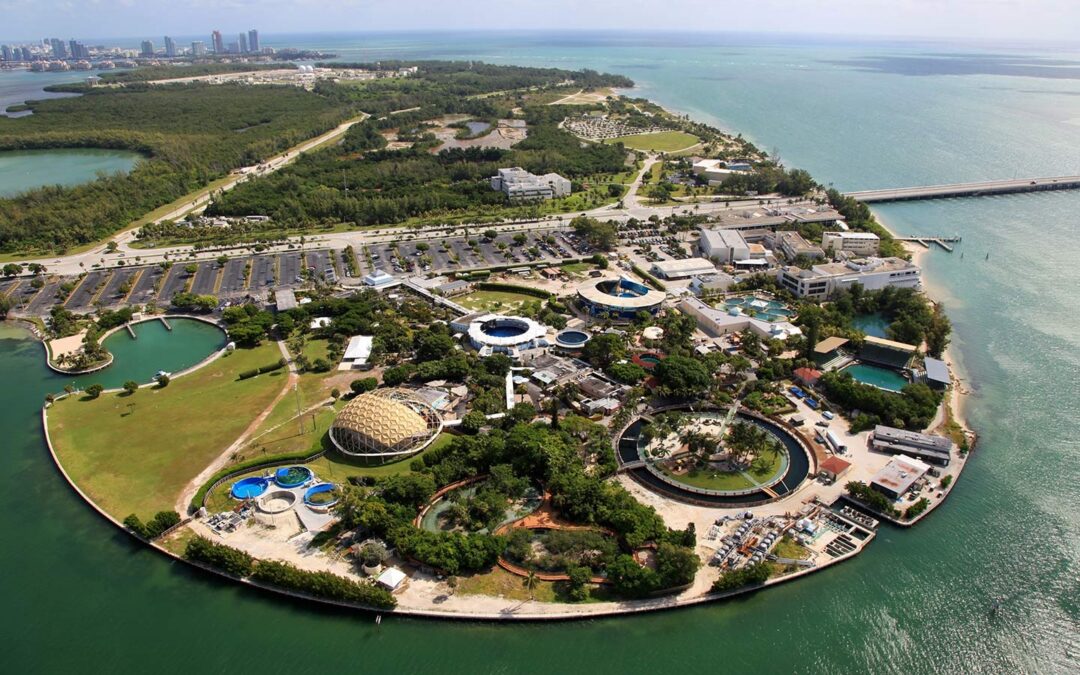 Navigating the Route from South Beach Miami to the Miami Seaquarium: Travel Options and Directions