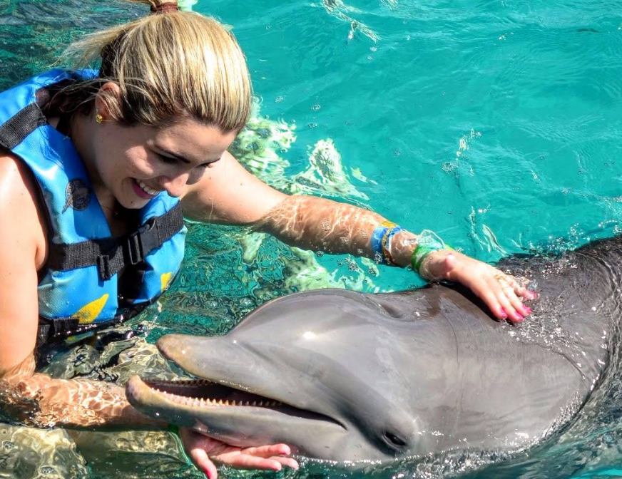 Best Time of Year for Dolphin Swimming at Miami Seaquarium: Dive into the Perfect Season!