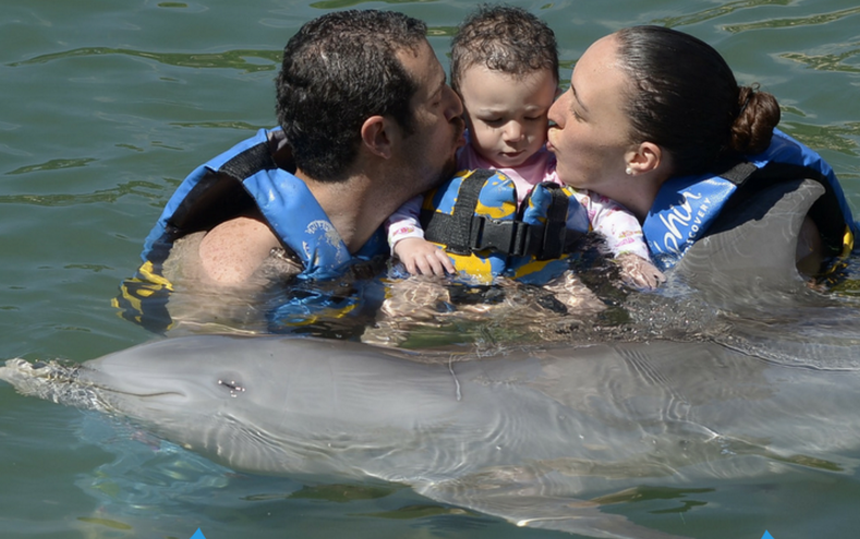 Family Friendly Dolphin Tours