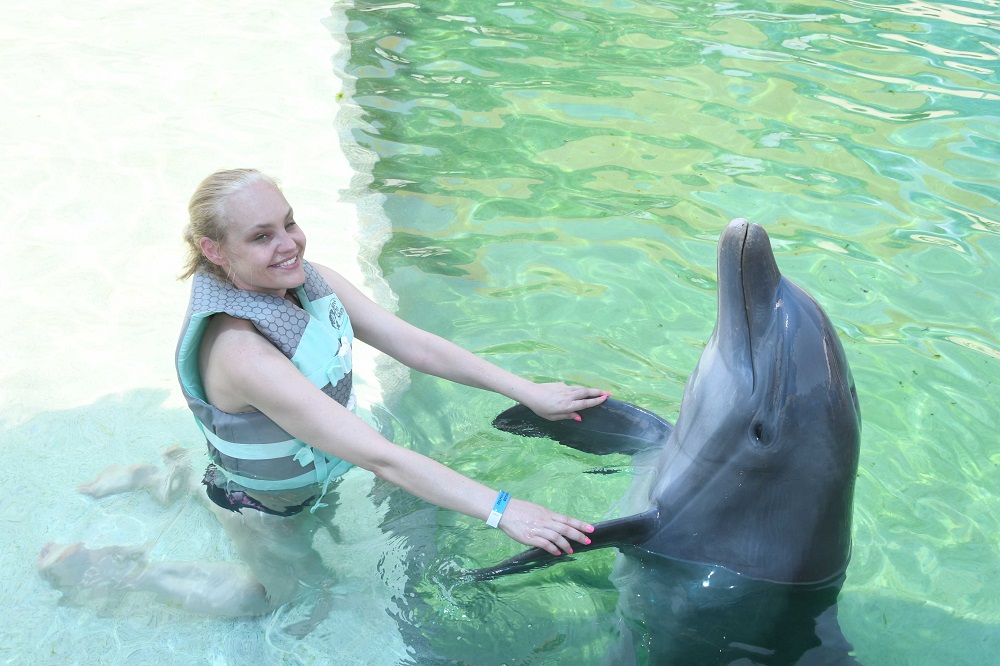Dolphin Hold In Miami