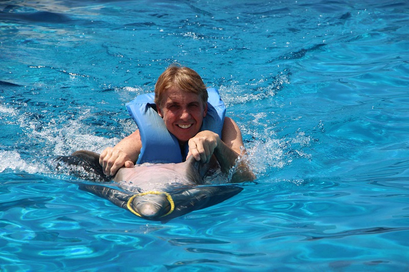 Swim with Dolphins in Miami