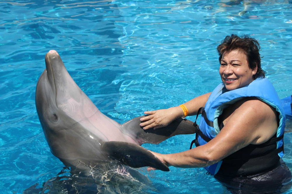 Feel the Rhythm, Ride the Waves – See Shakira Live and Swim with Dolphins in Miami!