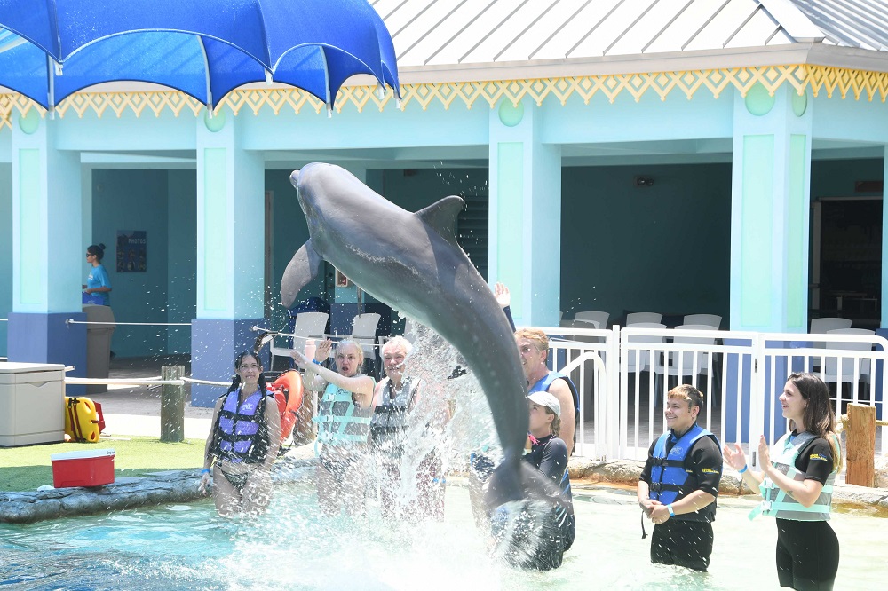 Lady Gaga’s Mayhem Ball in Miami and Swim with Dolphins: A Perfect Summer Combo
