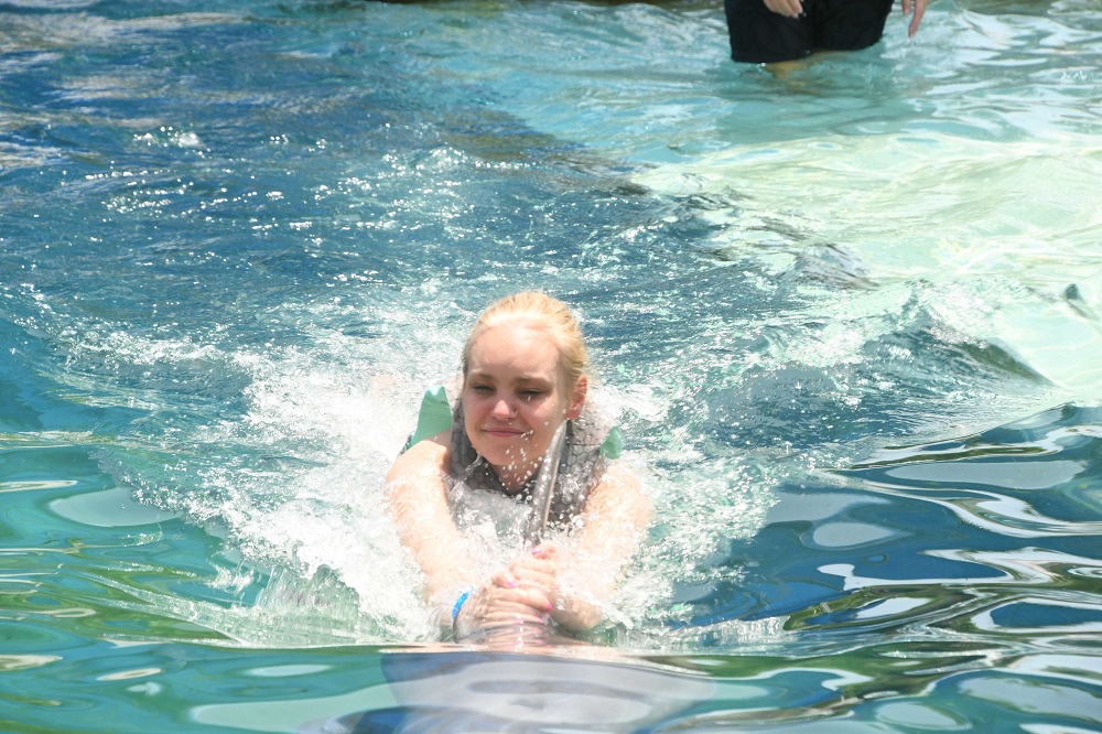 Experience the III Points Festival and Swim with Dolphins: The Ultimate Miami Weekend