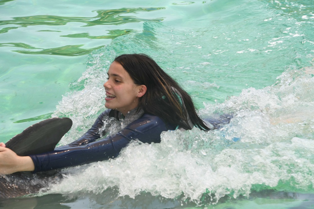 Miami Dolphin Swim Programs