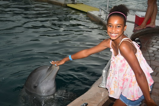 The Dolphin Expert says try to Dolphin Meet and Greet poolside