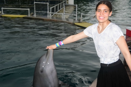The Dolphin Expert says affordable Dolphin Meet and Greet