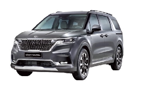 the dolphin expert says to drive your car to the Florida Keys