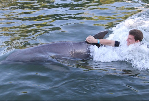 Road Trip from Miami to Islamorada for the Dolphin Swim