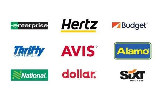 The dolphin expert says to rent a car to the Florida Keys